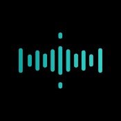 3_1_channel