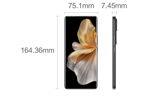 dimensions